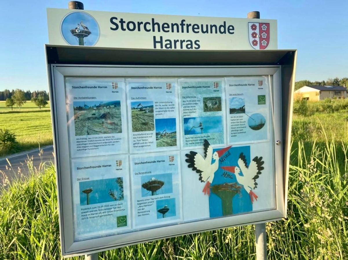 Ferienwohnung Storchennest Eisfeld Esterno foto